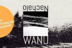 Affiche-WANU-Saint-Francois